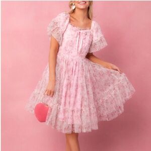 Ivy City Co First Love Dress Mini Pink Floral 2X